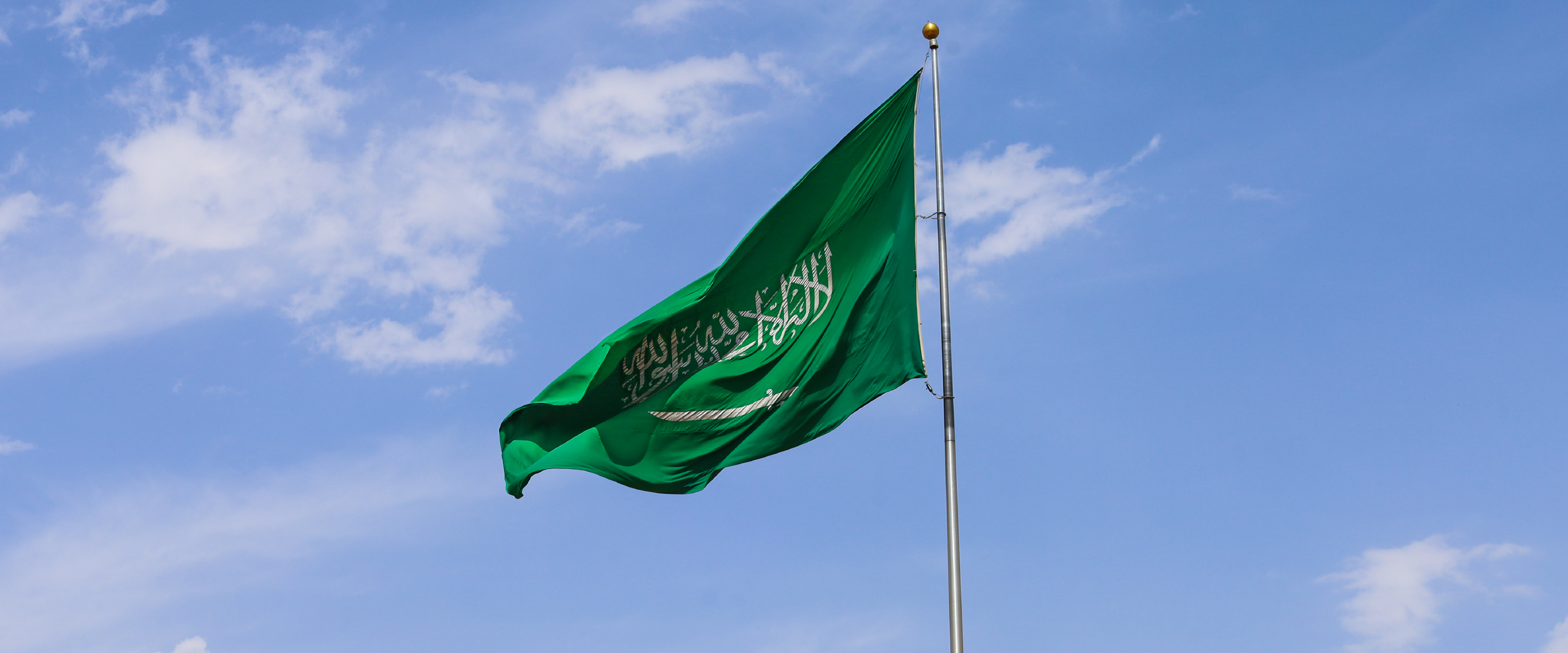 إصدار التأشيرات